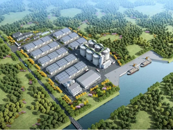 春耕备粮正其时！不朽情缘大米数泵车助力苏南最大粮仓建设